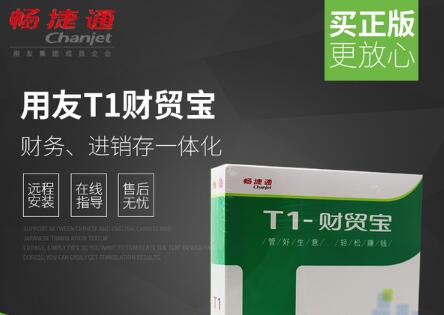 用友t1財(cái)貿(mào)寶